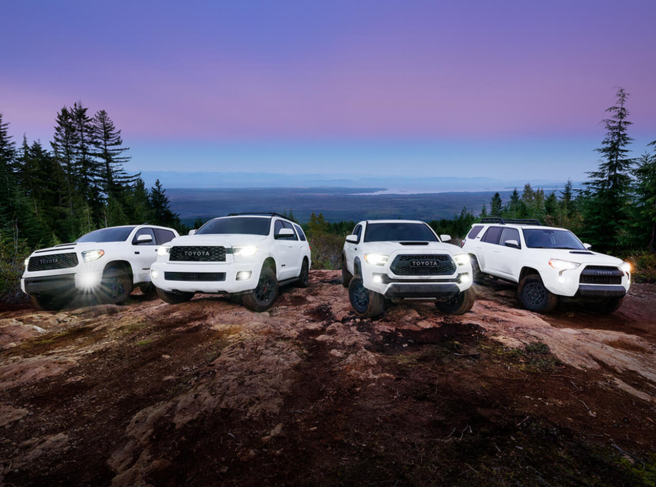 Rugged Toyotas on a mountain