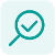Green inspection icon