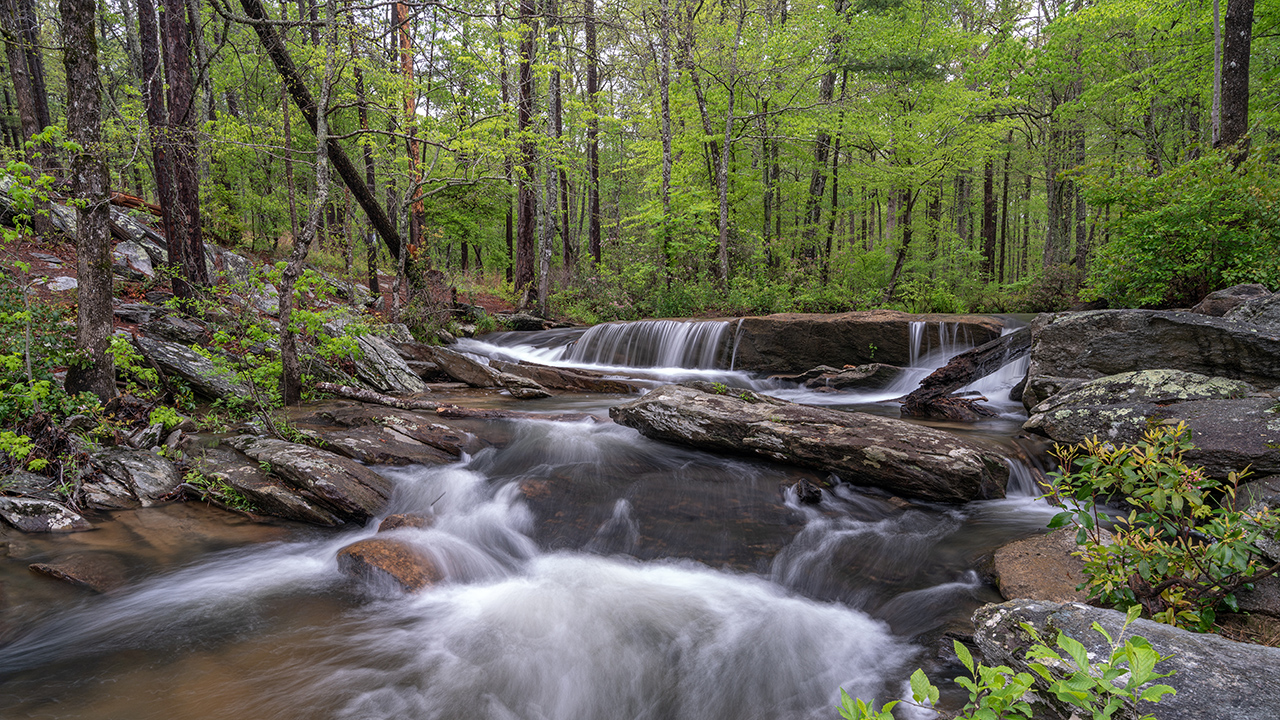 River water runs over smooth grey rocks in the middle of a lush green Cheaha State Park forest. 