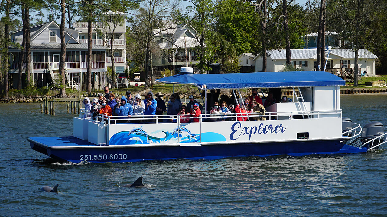 Explorer cruise watching for Dolphins