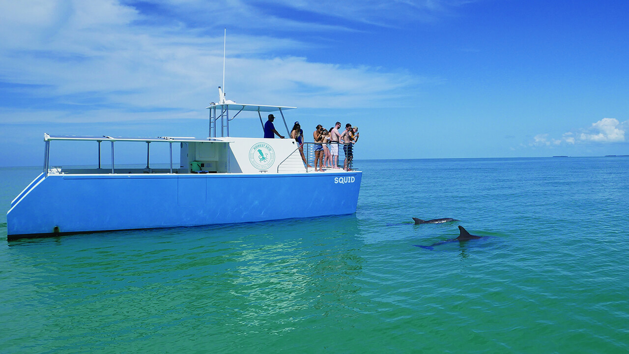 Dolphin watching boat