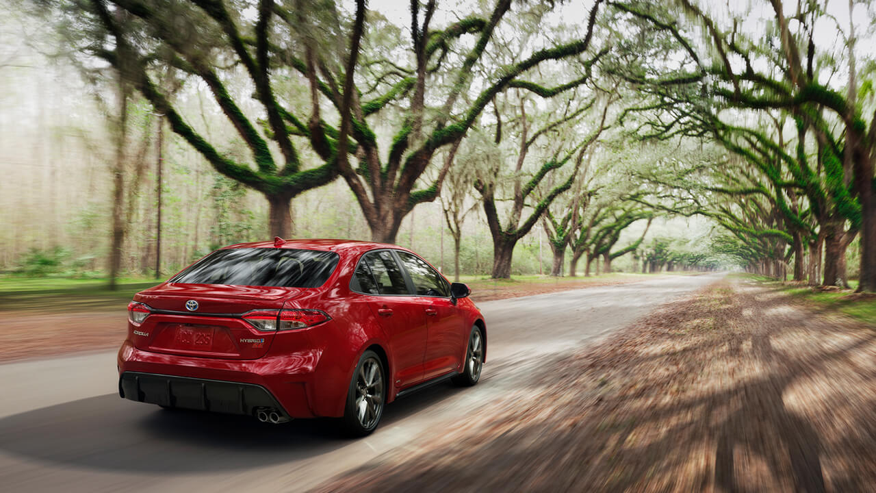 Red 2023 Corolla hybrid driving through street lined with live oak trees