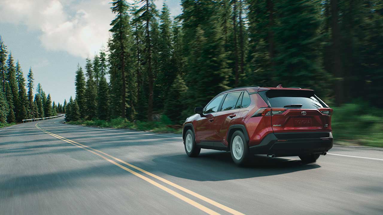 2025 Toyota RAV4 on a highway thru a pine forest