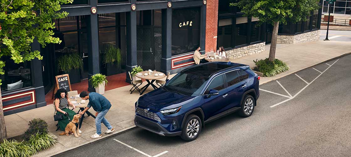 2025 Blue Toyota RAV4 in front of a cafe with the driver petting a dog