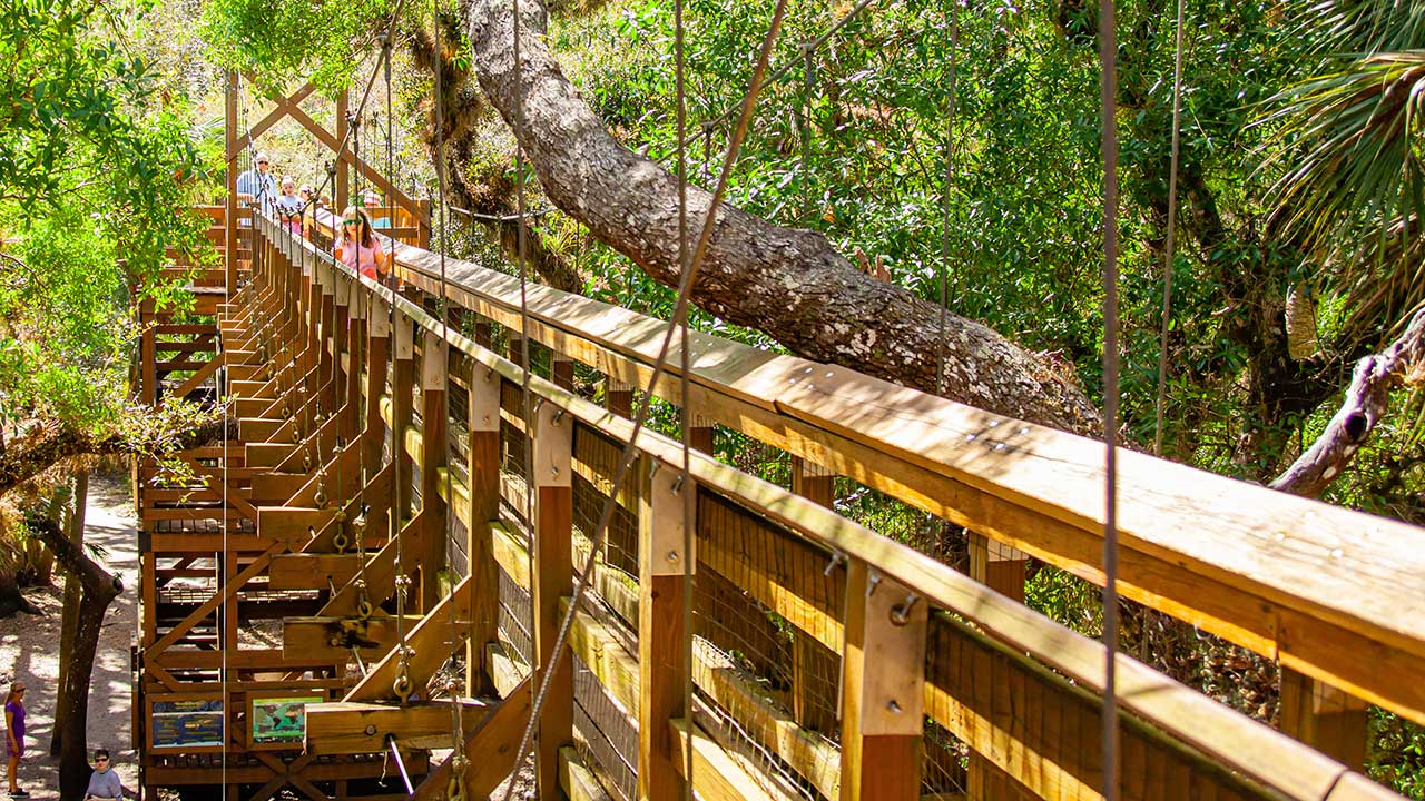 The canopy Walk
