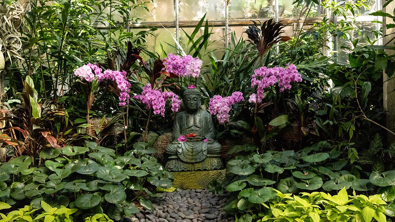 Marie Shelby Gardens