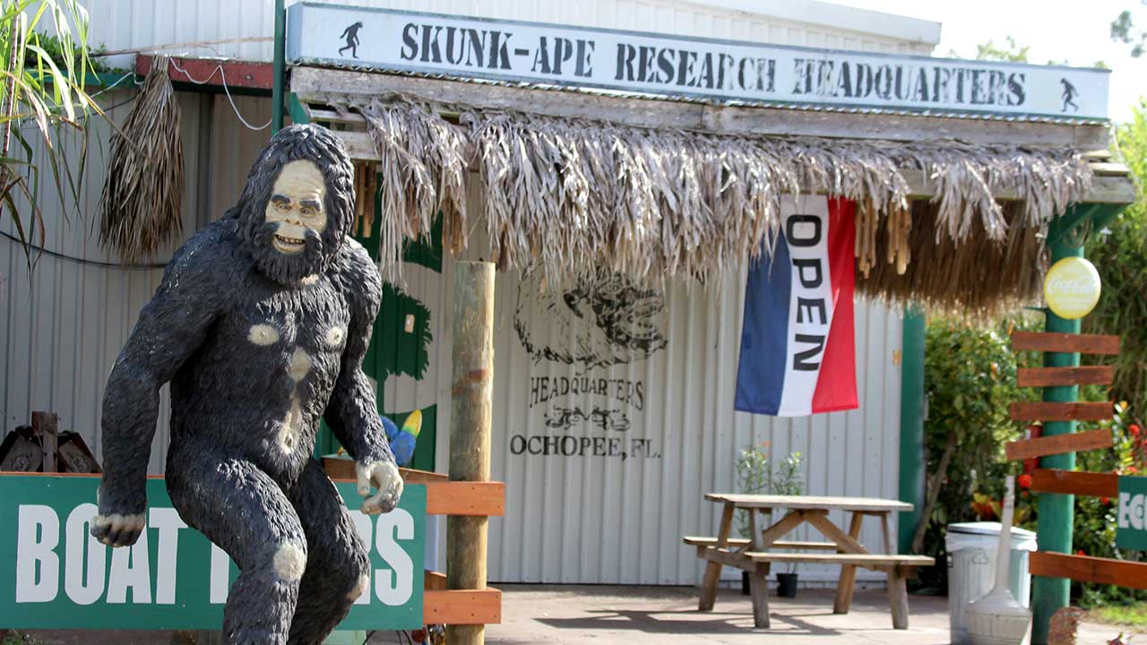 Skunk Ape Research Center