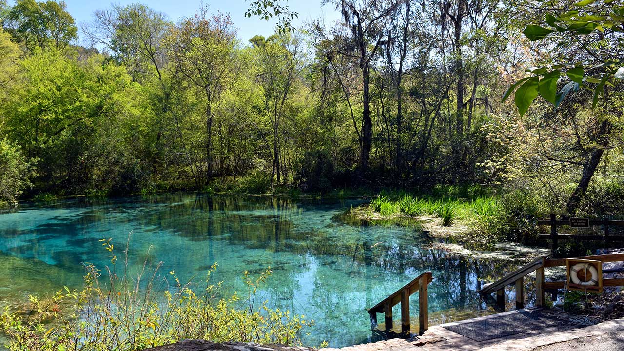 A stairway down to a clear spring in Ichetucknee Springs State Park