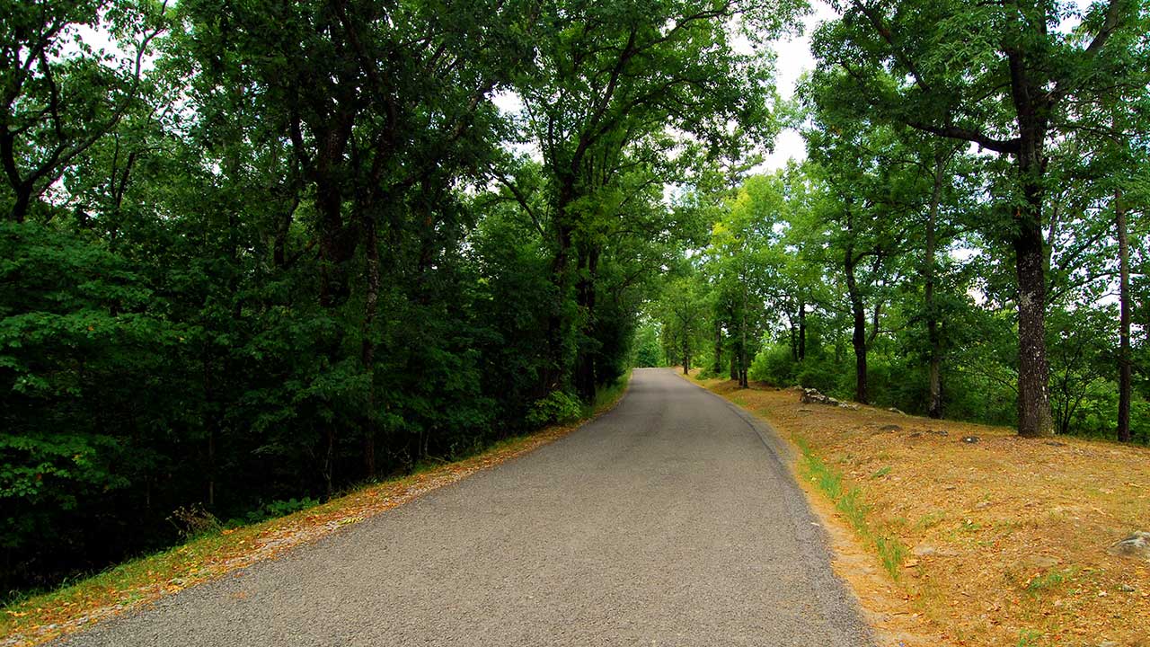 a paved trail at oak mountain state park