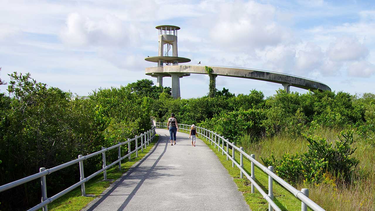 High observation platform in Shark Valley National Park