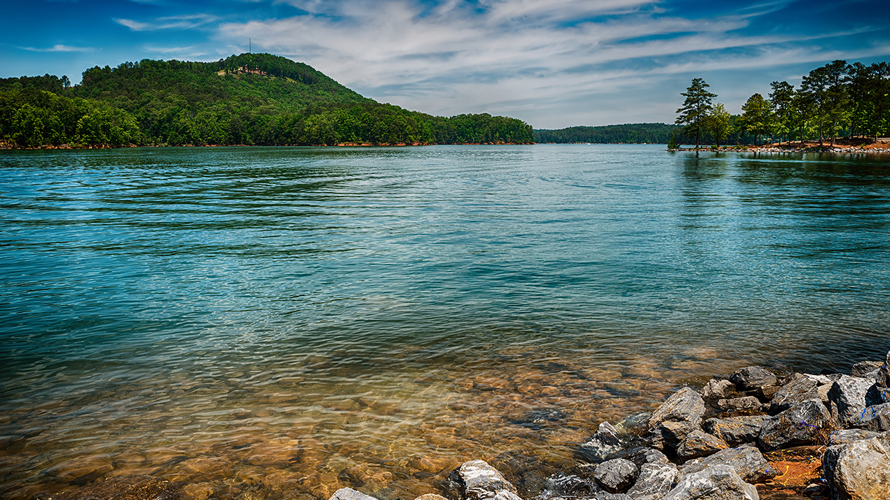 Blue water from Lake Allatoona in Georgia's Red Top Mountain State Park stretches out into a tree-lined cove. 