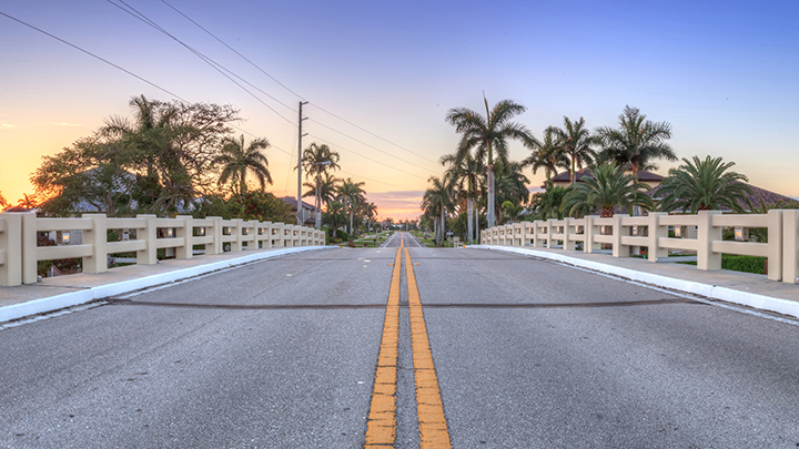 A road winds into the distance near sunset, palm trees lining the path.