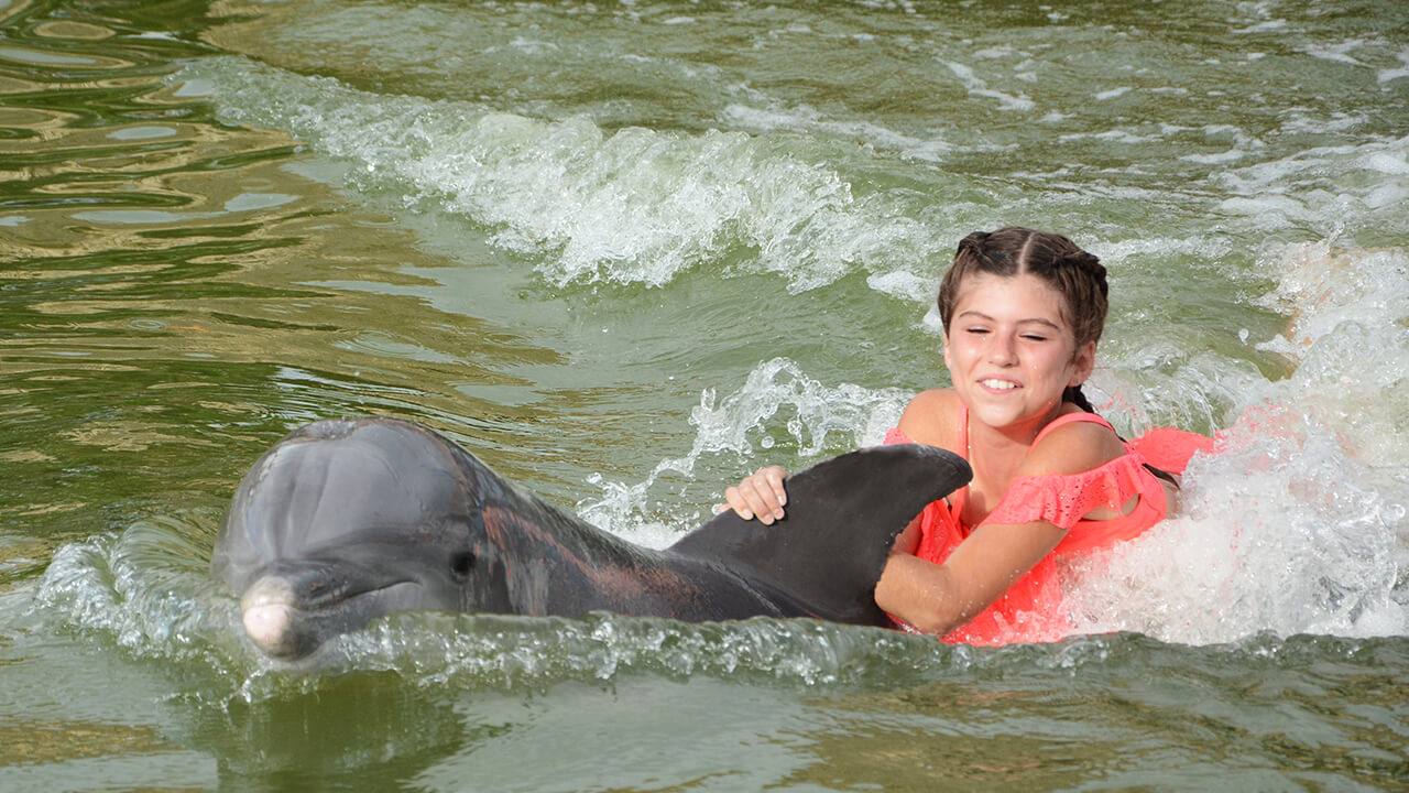 Swimming with a dolphin